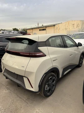 BYD Seagull I