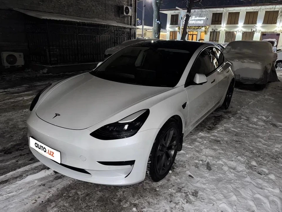 Tesla Model 3 I