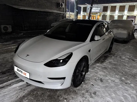 Tesla Model 3 I