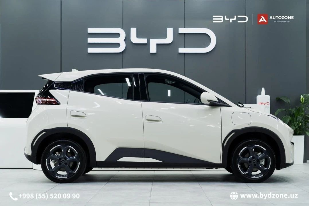 BYD Seagull I