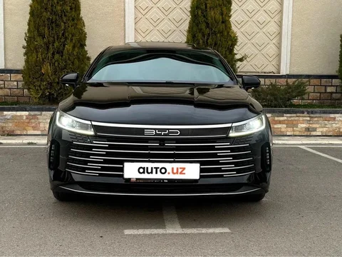 BYD Chazor I