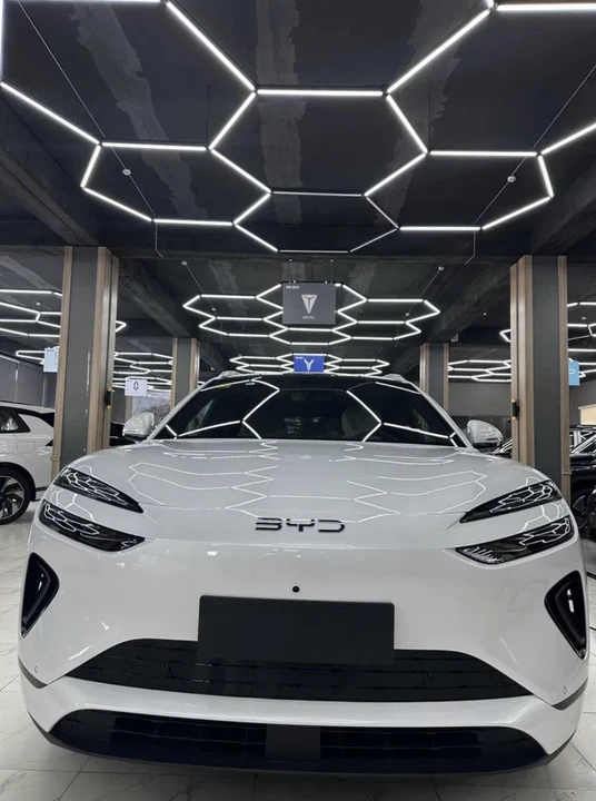 BYD sea lion 06 I