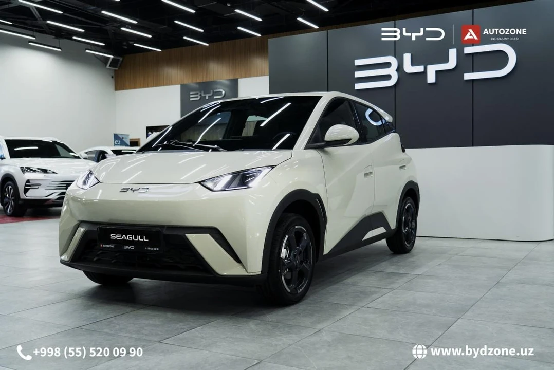 BYD Seagull I