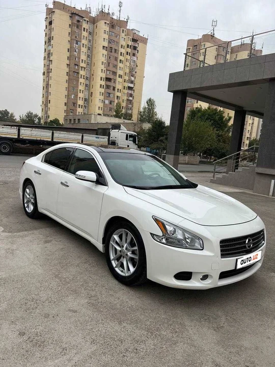 Nissan Maxima VII (A35)