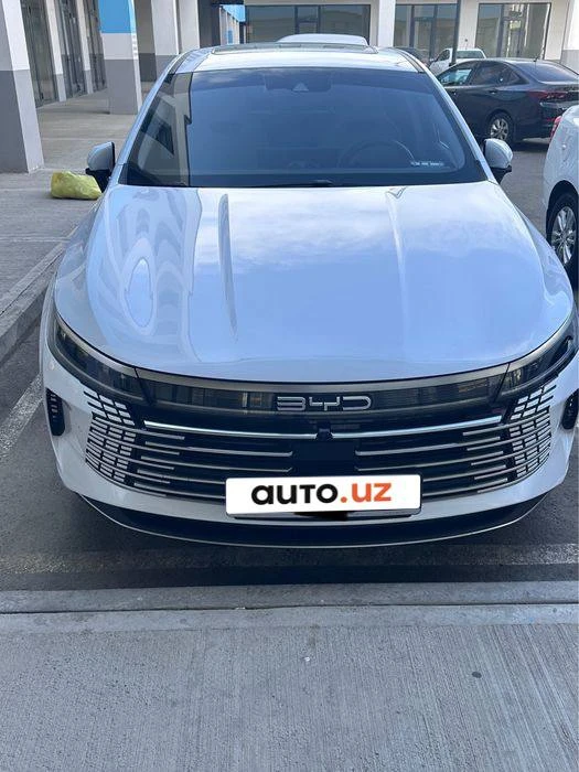 BYD Chazor I