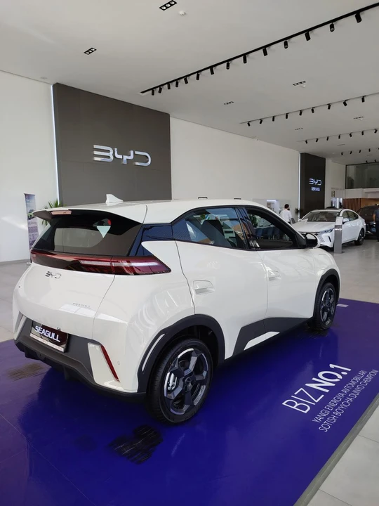 BYD Seagull I
