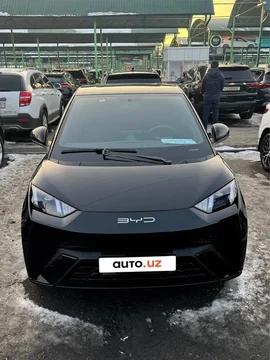 BYD Seagull I