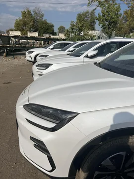 BYD Song Plus Champion I