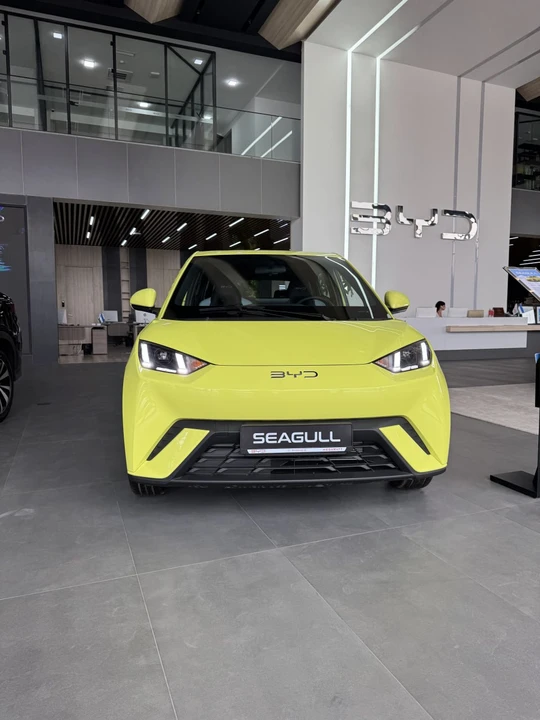 BYD Seagull I
