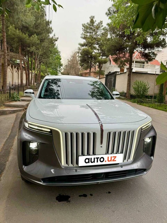 Hongqi E-HS9 I