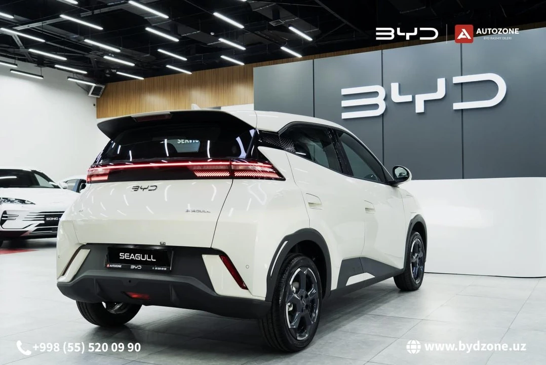 BYD Seagull I