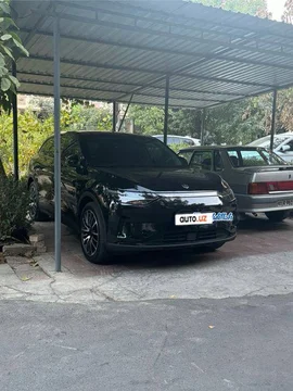 Leapmotor C11 I