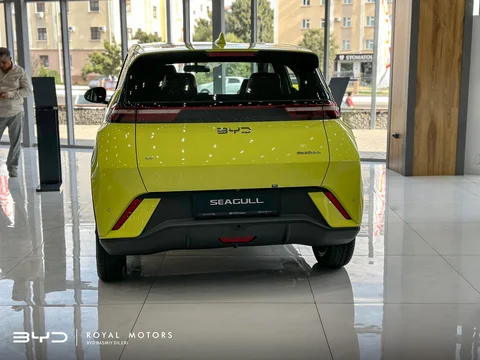 BYD Seagull I