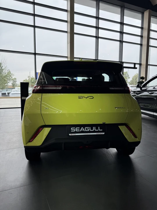 BYD Seagull I