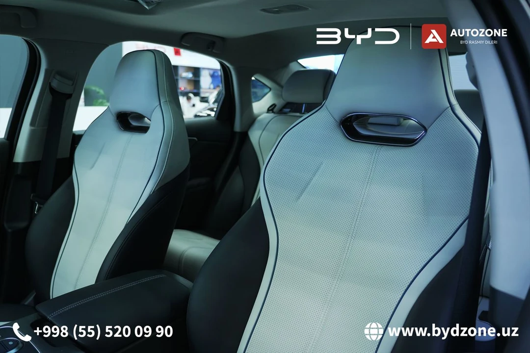 BYD Chazor I