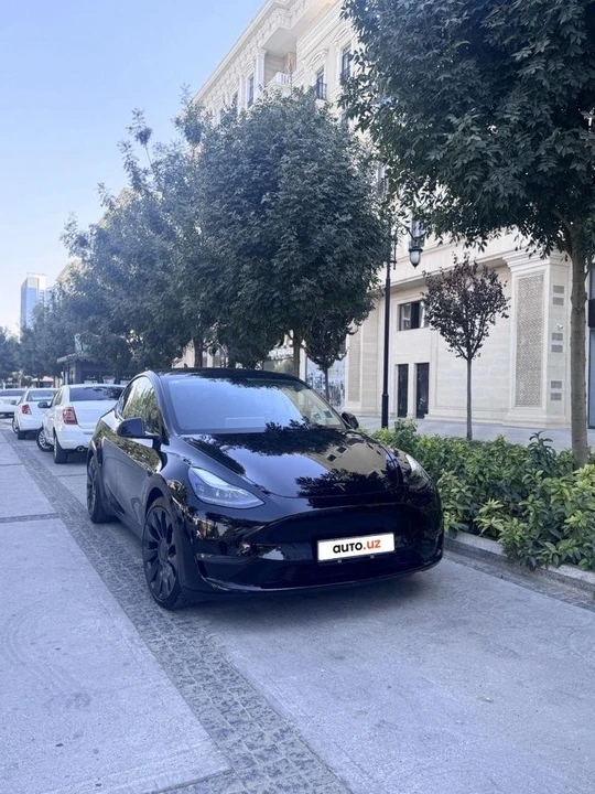 Tesla Model Y I