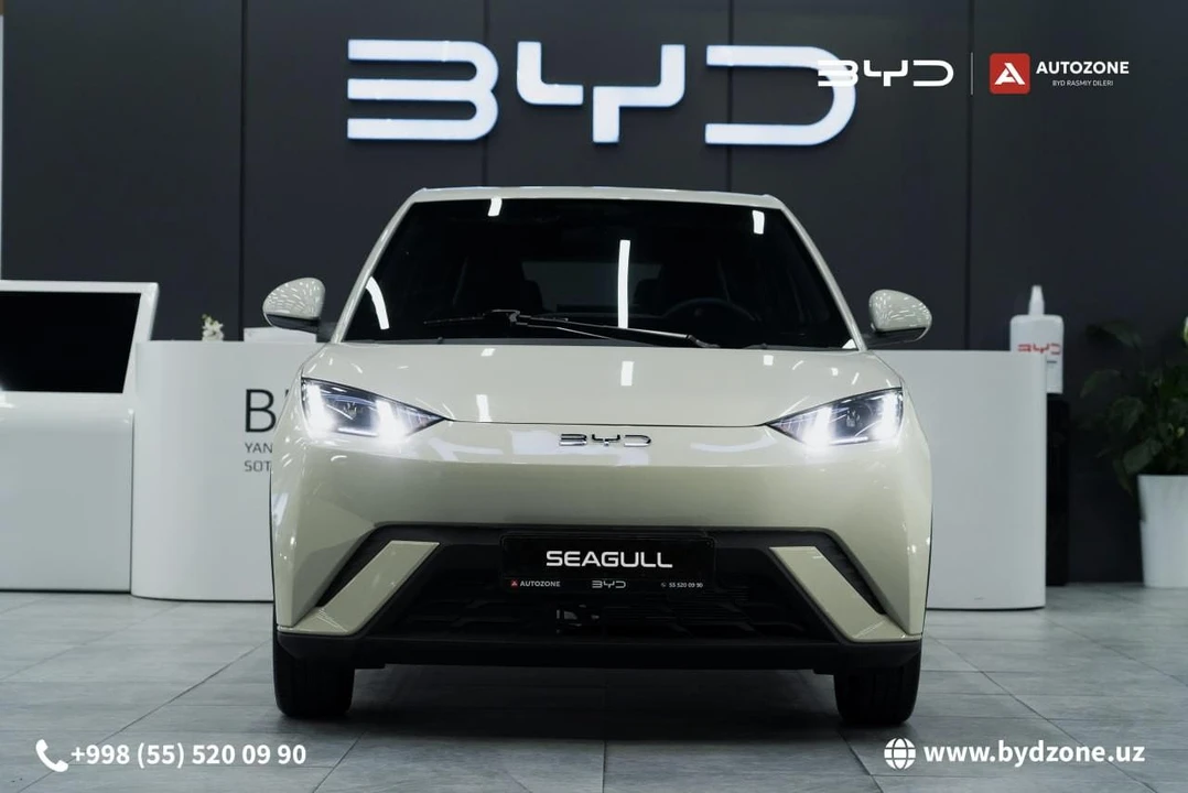 BYD Seagull I