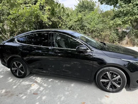BYD Chazor