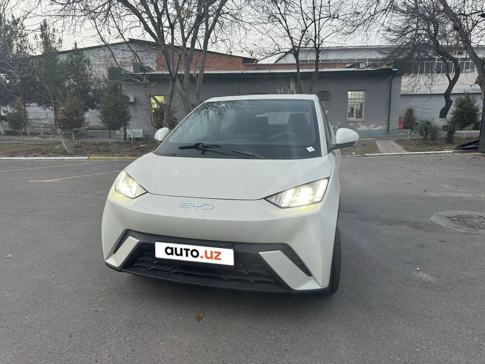 BYD Seagull I