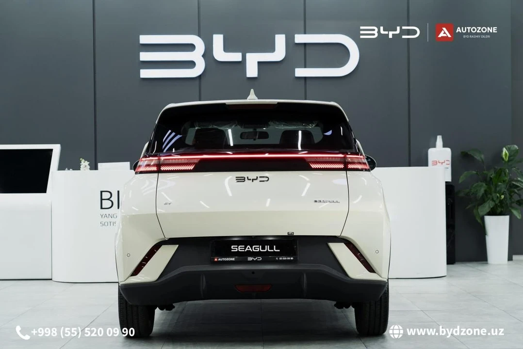 BYD Seagull I