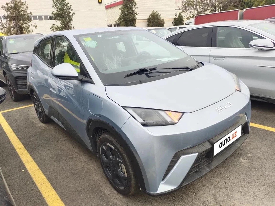 BYD Seagull I