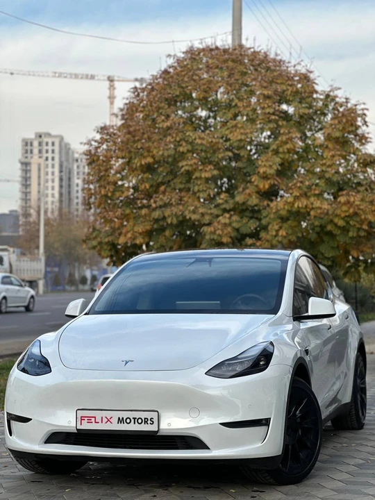 Tesla Model Y I