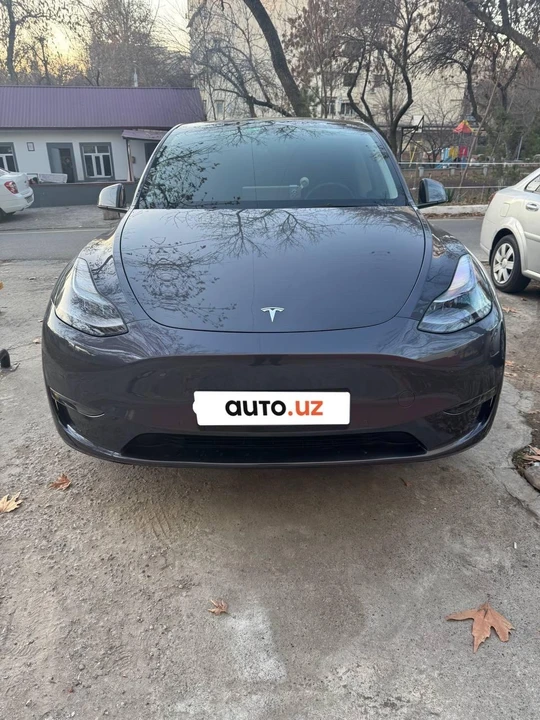 Tesla Model Y I