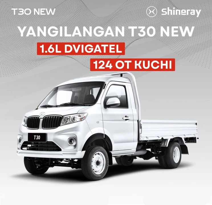Shineray T30 I