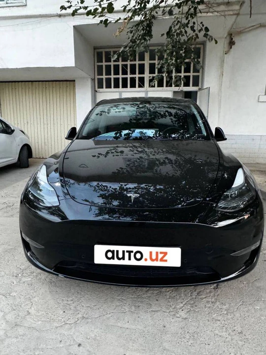 Tesla Model Y I