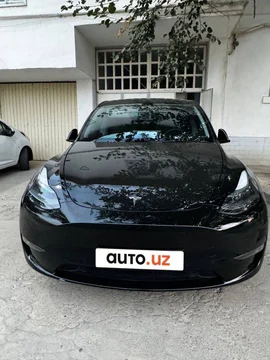 Tesla Model Y I