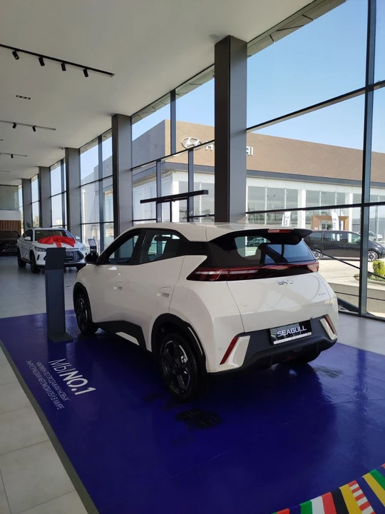 BYD Seagull I