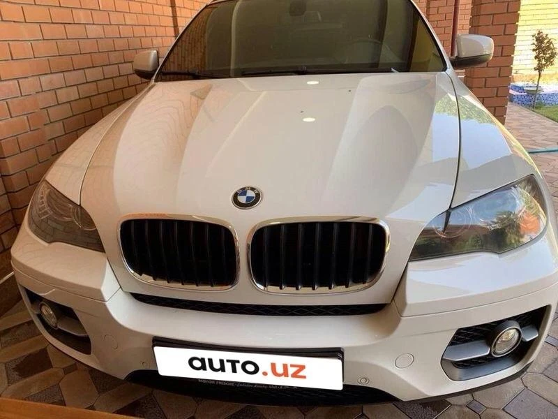 BMW X6 I (E71)