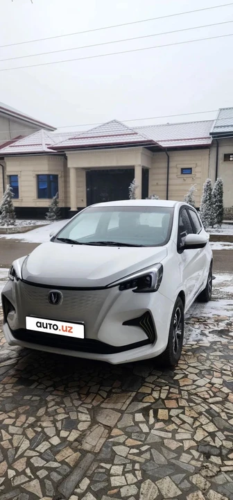 Changan Benben E-Star I