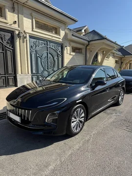 Hongqi E-QM5 I