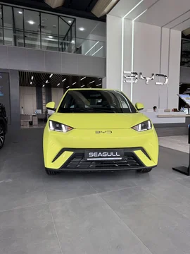 BYD Seagull I